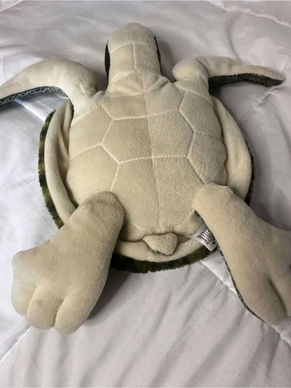Fiesta Green Sea Turtle Plush Stuffed Animal Toy (#Y40883)